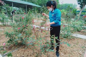 TUỔI TRẺ TRUNG TÂM GDTX2 SÁNG TẠO, NHIỆT HUYẾT, THÂN THIỆN